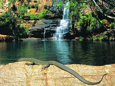 Gibb River Tour