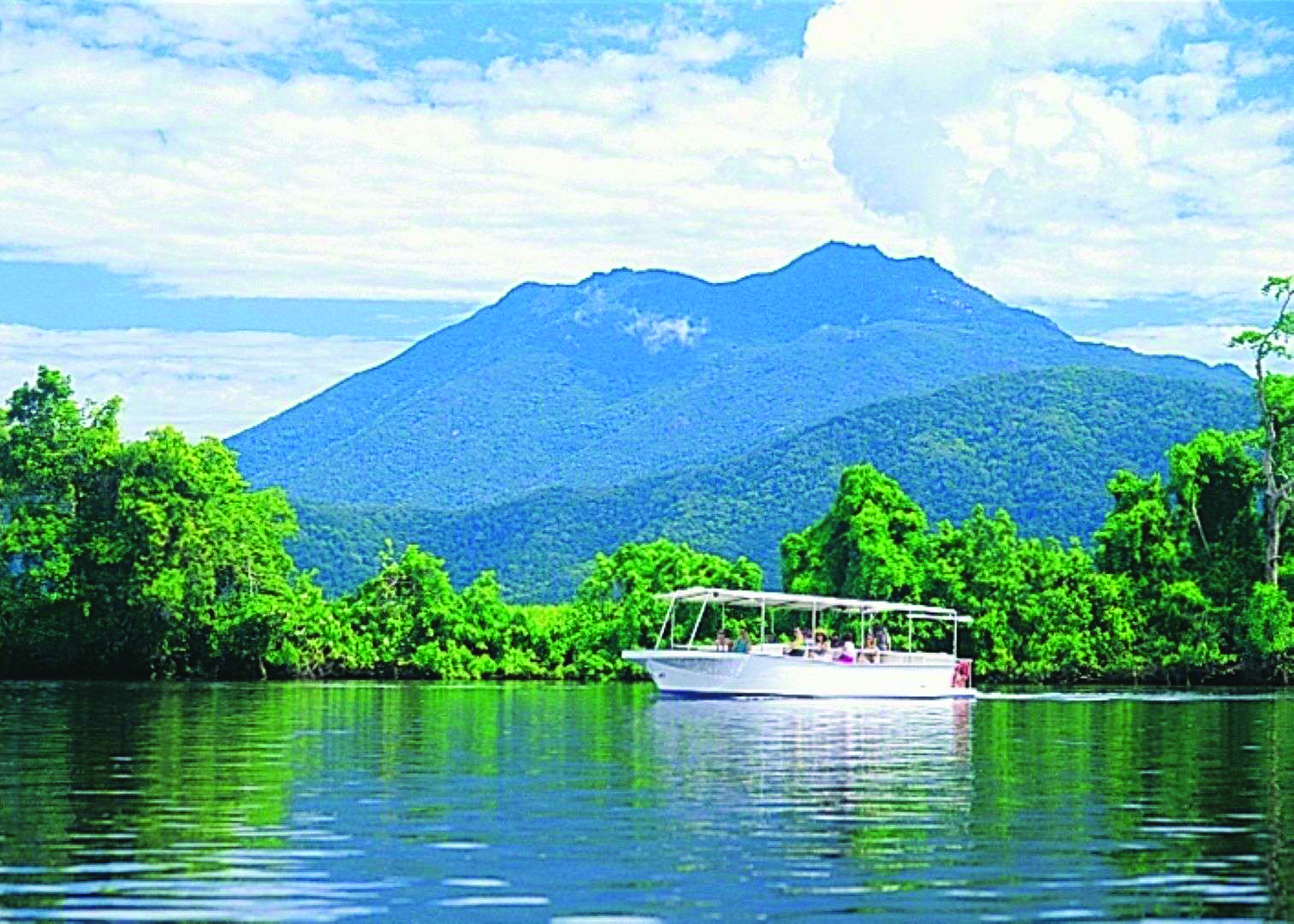 Daintree Cruise