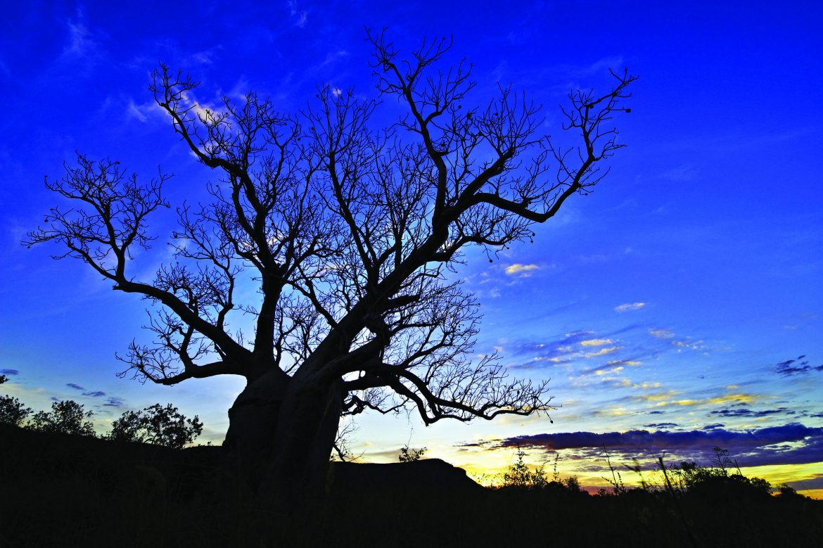 Elquestro Wilderness Park - Kimberley