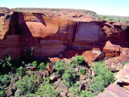 Kings Canyon Tours - Casey Tours