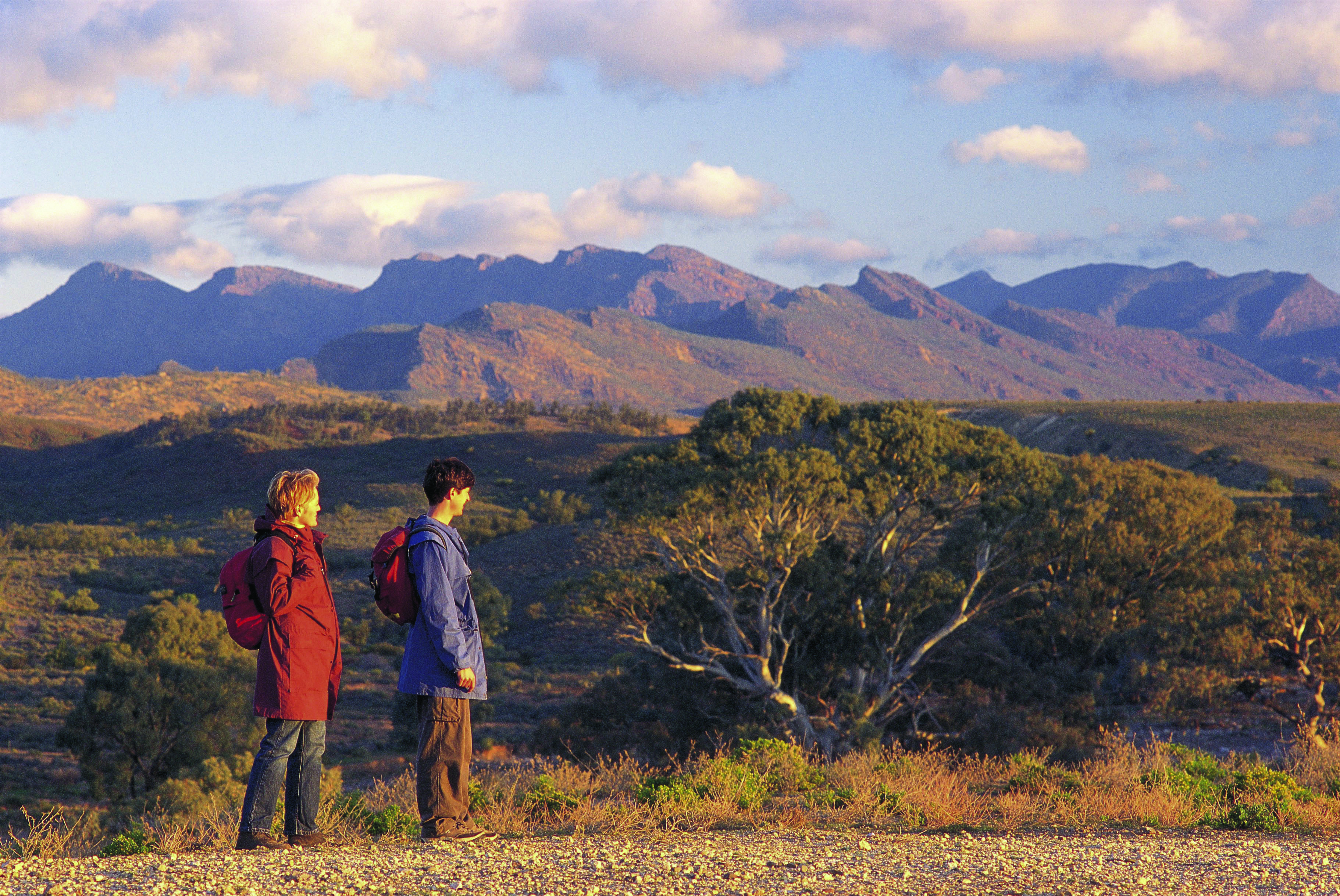 Bush Walking & Hiking