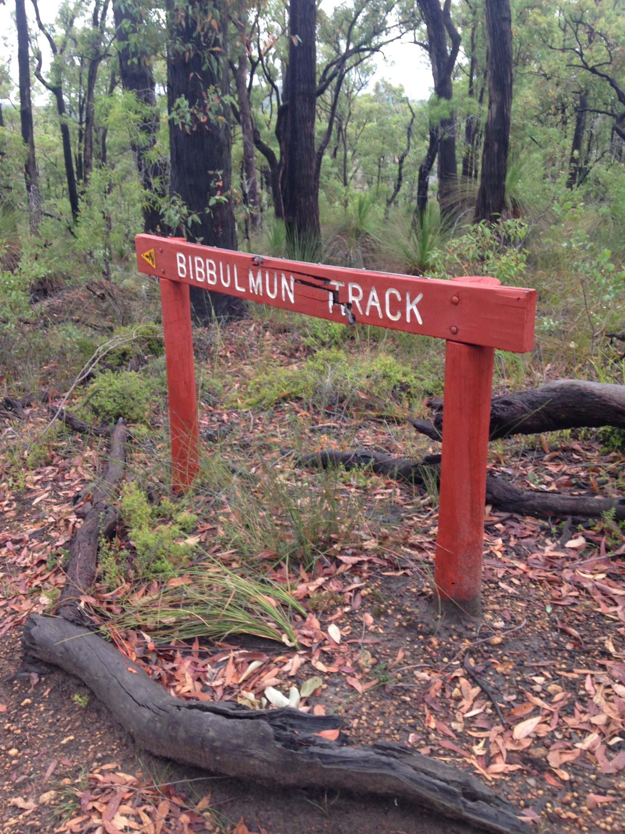 Bibbulum Track