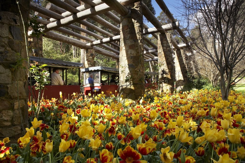 Araluen Botanic Park