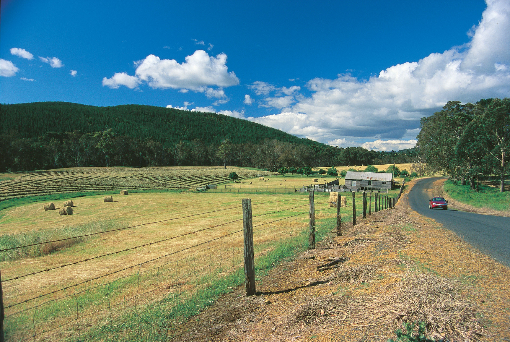 Beautiful Farms