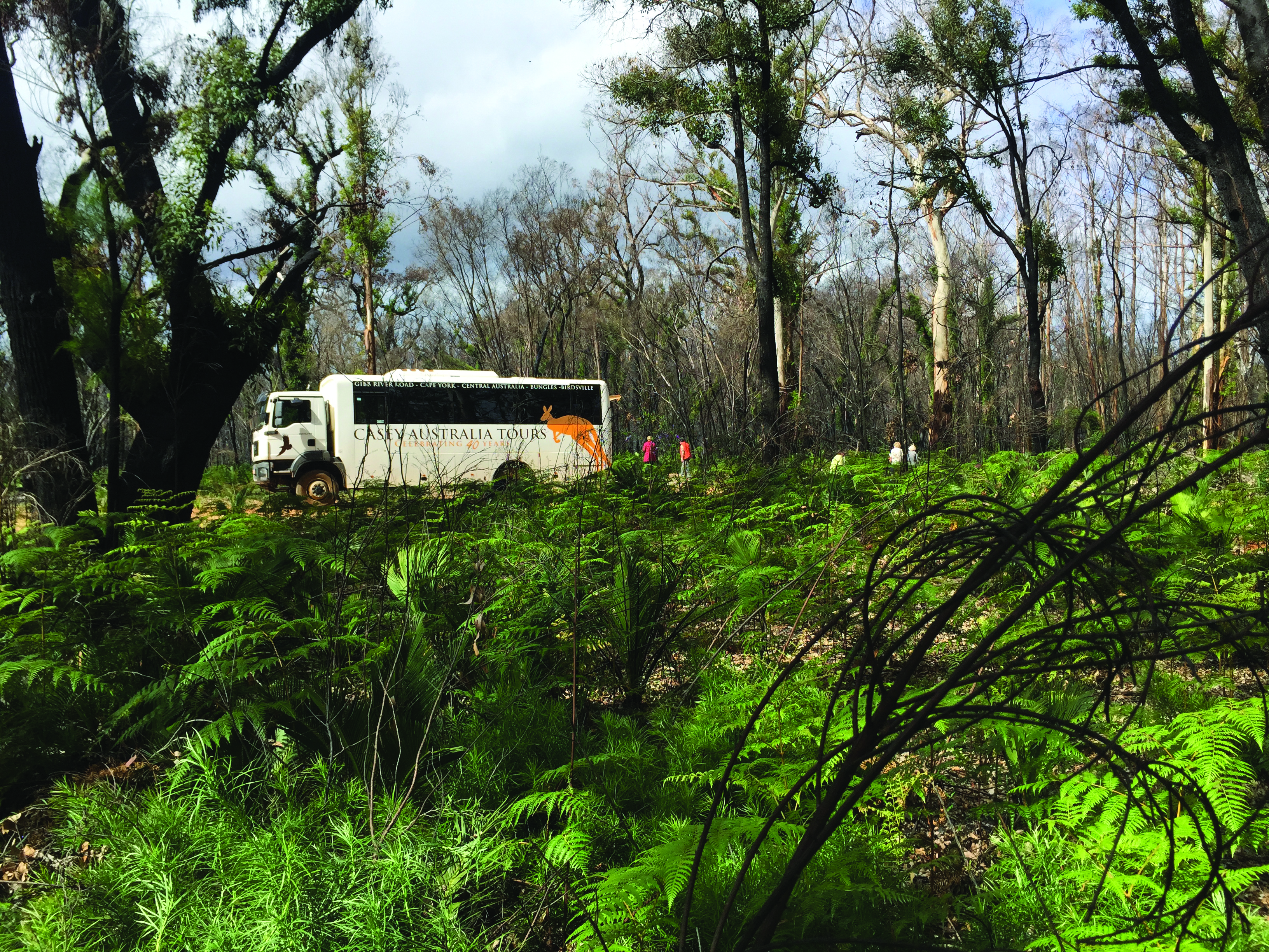 Casey Australia Tours Bus