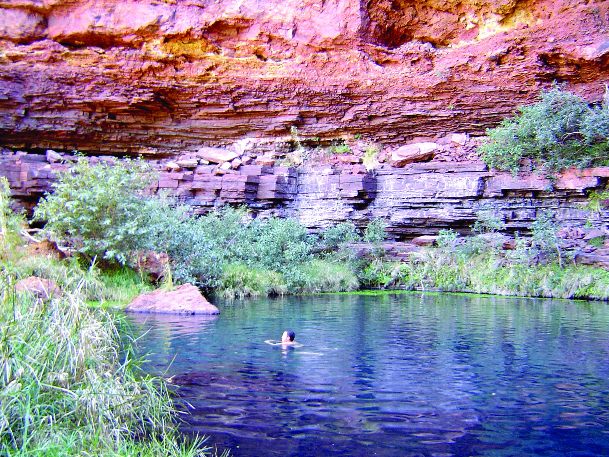 Karijini, Coral Bay & Shark Bay