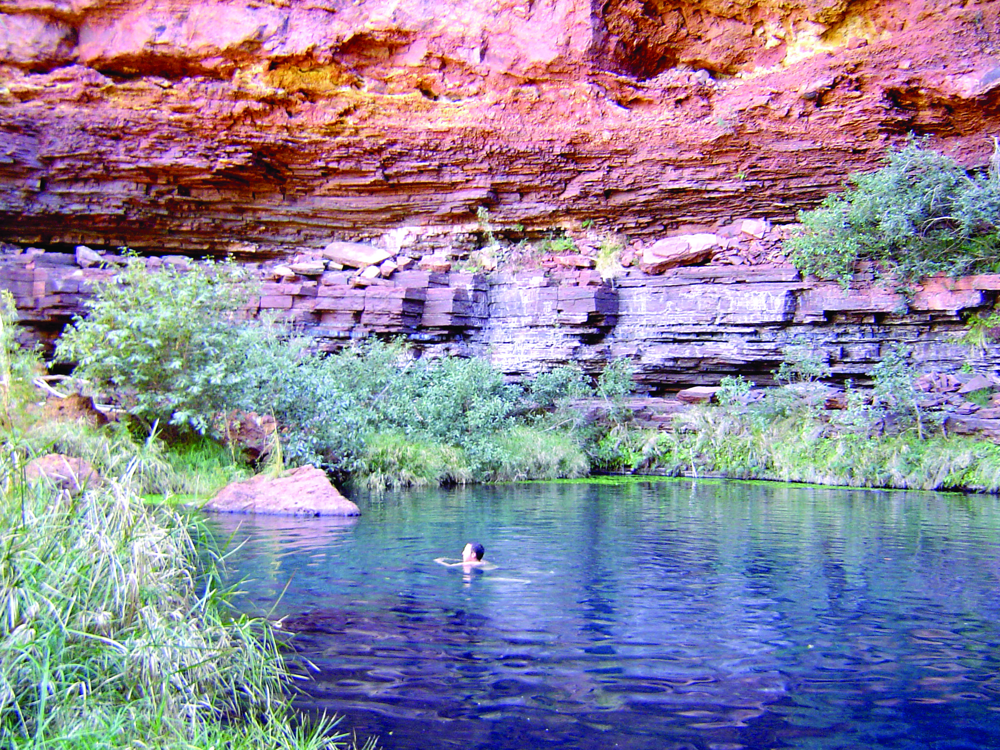 Karijini, Coral Bay & Shark Bay
