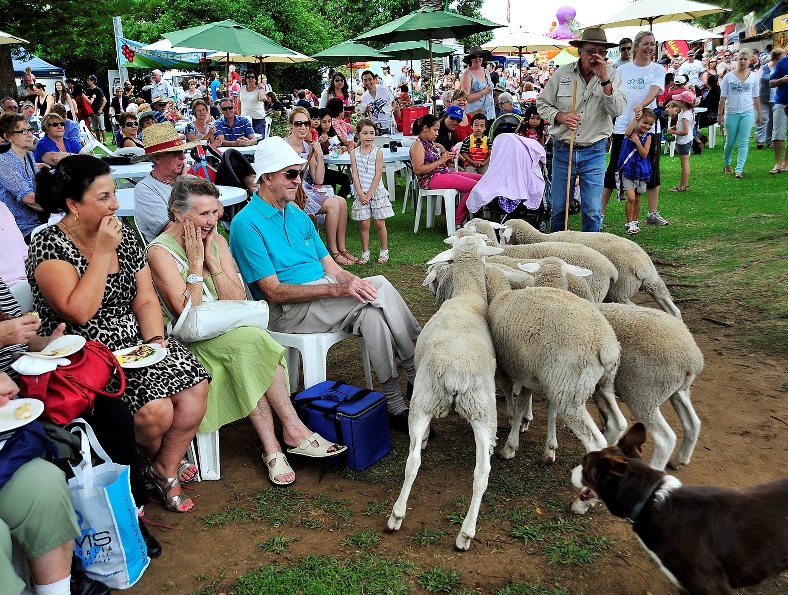 Harvey Harvest Festival 