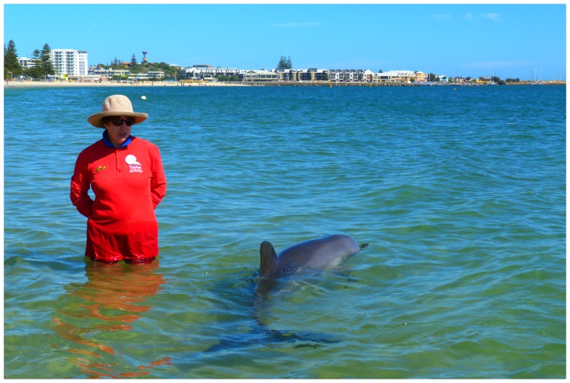 South West Cape Escape Tours