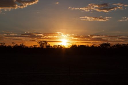 Longreach Casey Tours