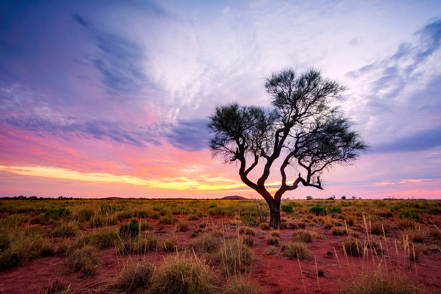  Pilbara region, Western Australia, Australia