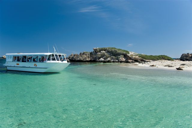 Penguin Island Wildlife Cruise