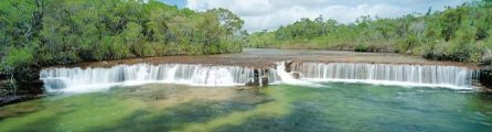 Fruit Bat Falls - Casey Tours