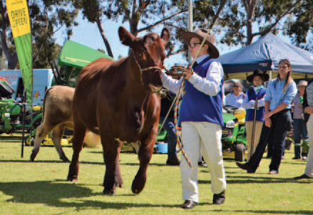Bindoon AG Show
