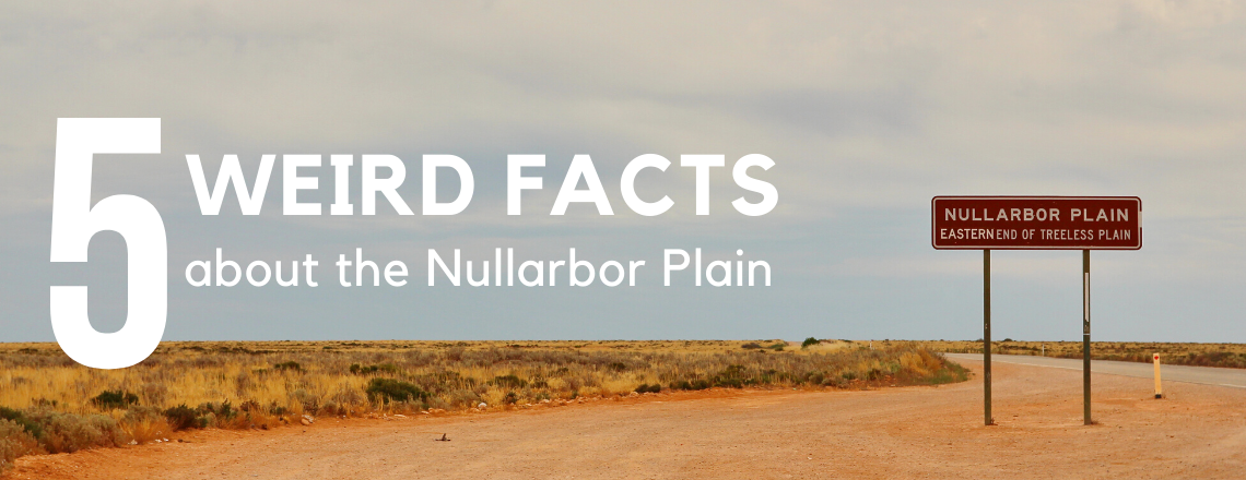 5 Weird Facts about the Nullarbor Plain