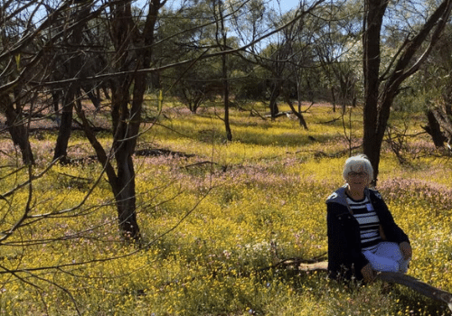 4 Day Northern Wildflower Tour with Botanical Guide