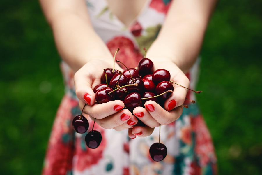 Manjimup Markets Cherry Farm Gate Day Tour