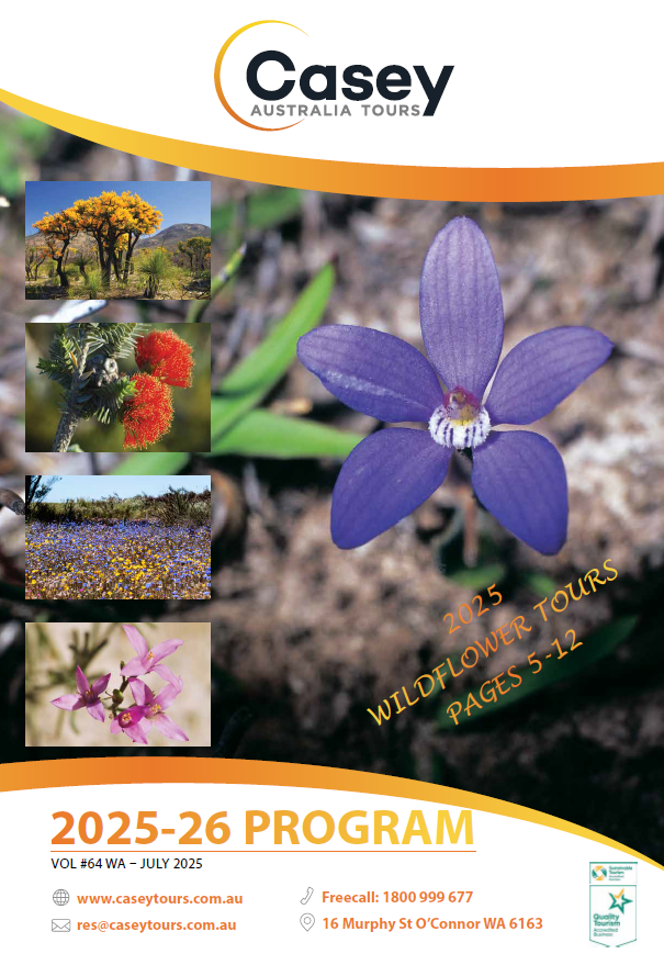 Tour Brochure